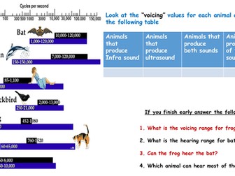 sound frequency range