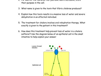 Cholera - causes, mechanism and treatment