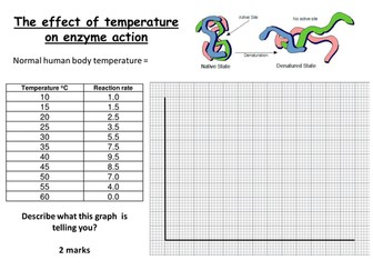 Factors affecting Enzyme Action