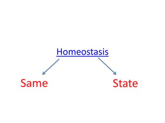 Homeostasis and Exercise