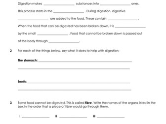 Digestive system Homework task