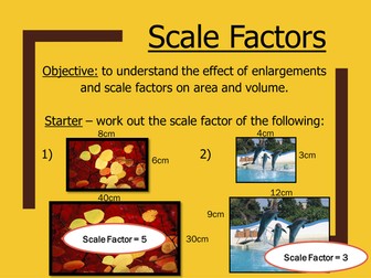 Scale Factors