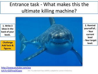 Design an animal for Antarctica Assessment