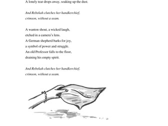 Rebekah's handkerchief - A holocaust poem