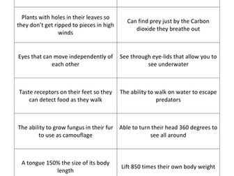 Adaptation complete lesson