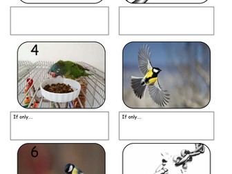 Year 4 - Creative Writing lesson pack