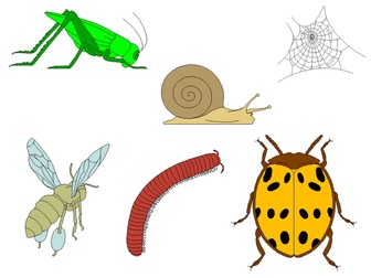 Insects Clip Art - Bugs Clip Art