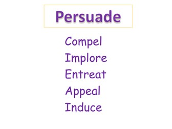 Academic Synonym Display