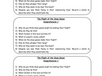 Flight of the Snow Goose Comprehension Questions