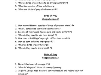 Birds of Prey Comprehension Questions