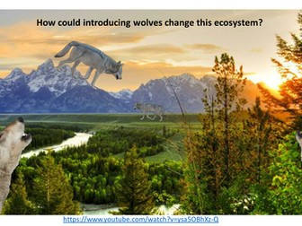 Ecosystem change