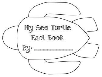 Ocean Unit: Sea Turtle Fact Book