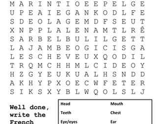 The Body Parts - French Word Search
