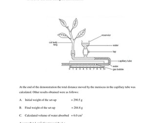 Measurement of water uptake and transpiration in a leafy shoot