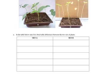 Effect of light on plant development