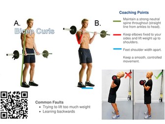 Circuit Training Individual Exercise Coaching Sheets