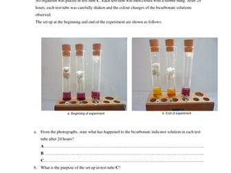 Experiment to show that living organisms respire
