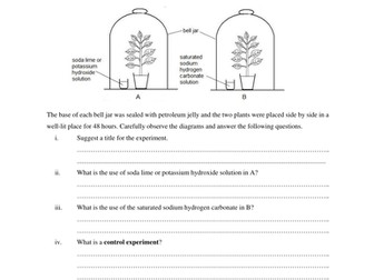Investigating a factor that affects photosynthesis
