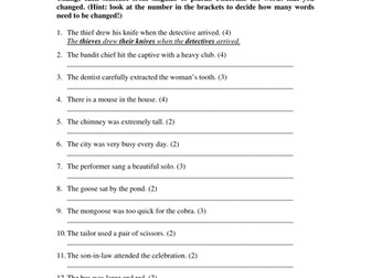 Worksheet: Plural Nouns (elementary)