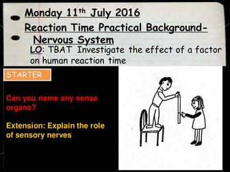 Required AQA Trilogy Practical on Reaction Time