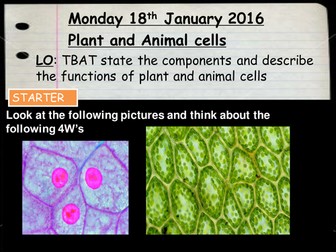 Plants and Animal cells