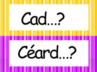 Ceisteanna - Irish Questions Display