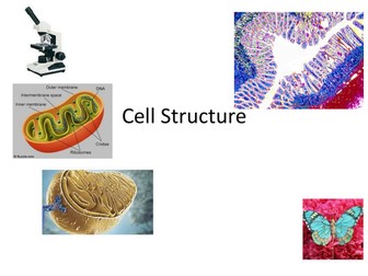 New OCR AS Cell Structure