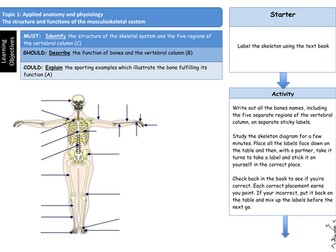 2016 GCSE PE EDEXCEL Skeleton and vertebrae