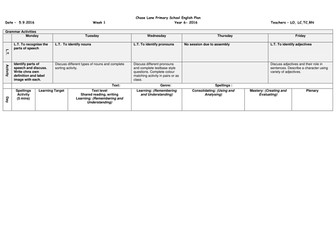 A boy in the girls bathroom - Year 6 diary writing