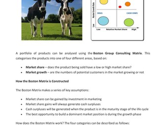 AQA A Level Business - 8.1 Strategic Direction