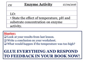 Enzymes ks3 new curriculum