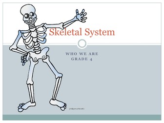 Skeletal System Revision