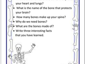 Skeletal System Research Guideline