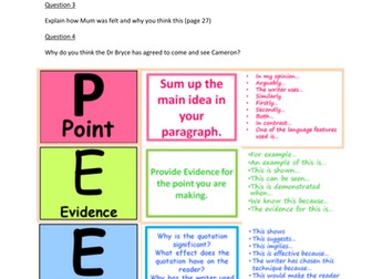 Guided reading Pig-Heart Boy
