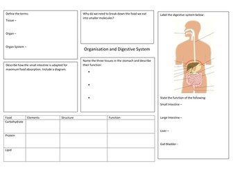 Organisation and Digestive System Revision Maps for New AQA GCSE Spec