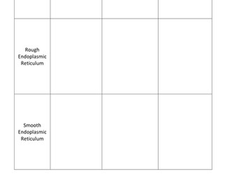 Cell Structure Organelles Table