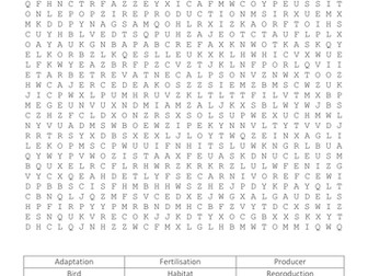 Year 7 Biology Word Search