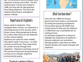 Elephant Conservation in Kenya