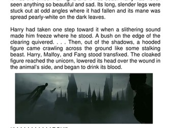 Harry Potter and the Philosopher's Stone 3 way differentiated guided reading session AF2, AF5