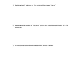 A Level Respiration, the process and the energy aspects of the steps.