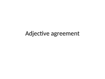 Power Point presentation - Adjective agreement