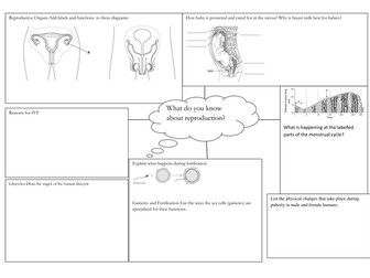 Animal Reproduction Summary