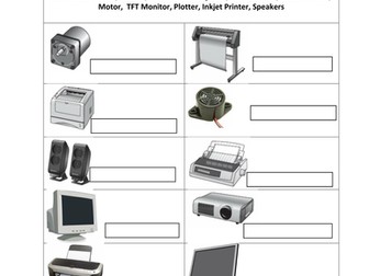 Must Have OUTPUT Device Assessment Worksheet