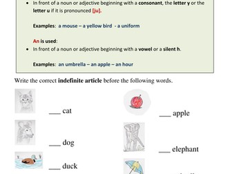 The Indefinite Articles A and An