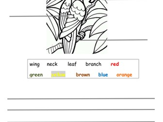 Early writers - label the parrot using words from the word bank, write a sentence then colour in