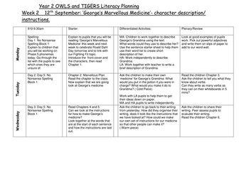 George's Marvellous Medicine Planning Year 2