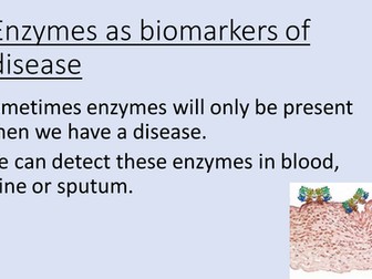 Enzymes as Biomarkers