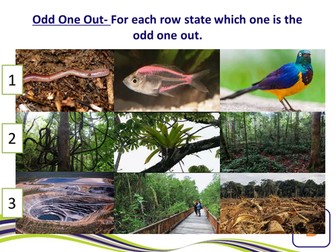 Sustainable Management of Tropical Rainforest