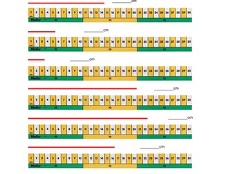 Measuring lines in cm - Year 1