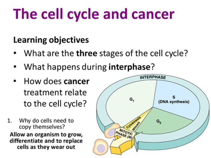 AQA AS & A-level Biology (2016 Specification). Section 2 Topic 3: Cell ...